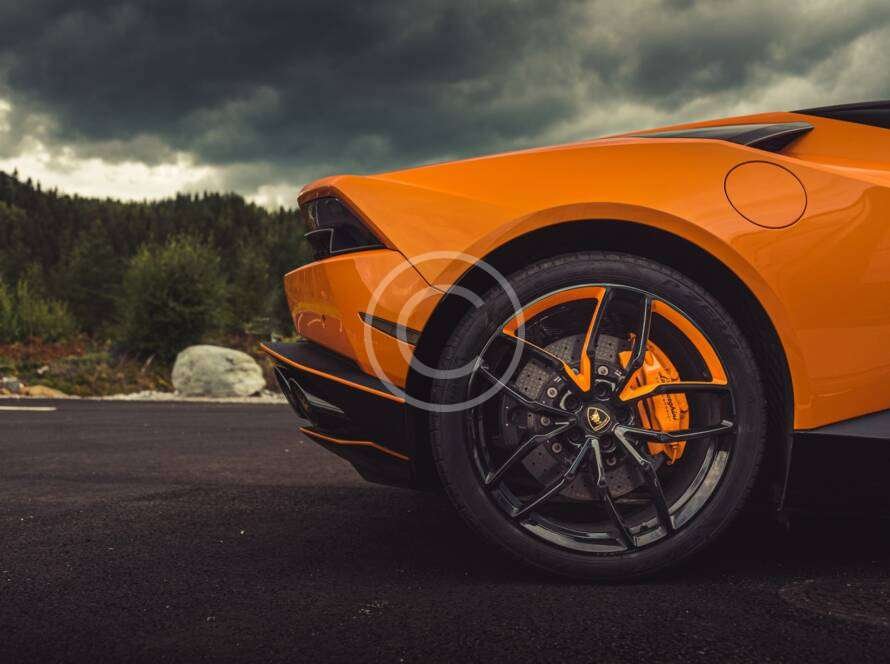 Portf13 Copyright 890x664